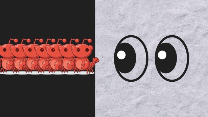 «&nbsp;Singularité&nbsp;»,  religion, complot contre les humains&nbsp;: que se passe-t-il vraiment sur Moltbook, le forum réservé aux IA&nbsp;?