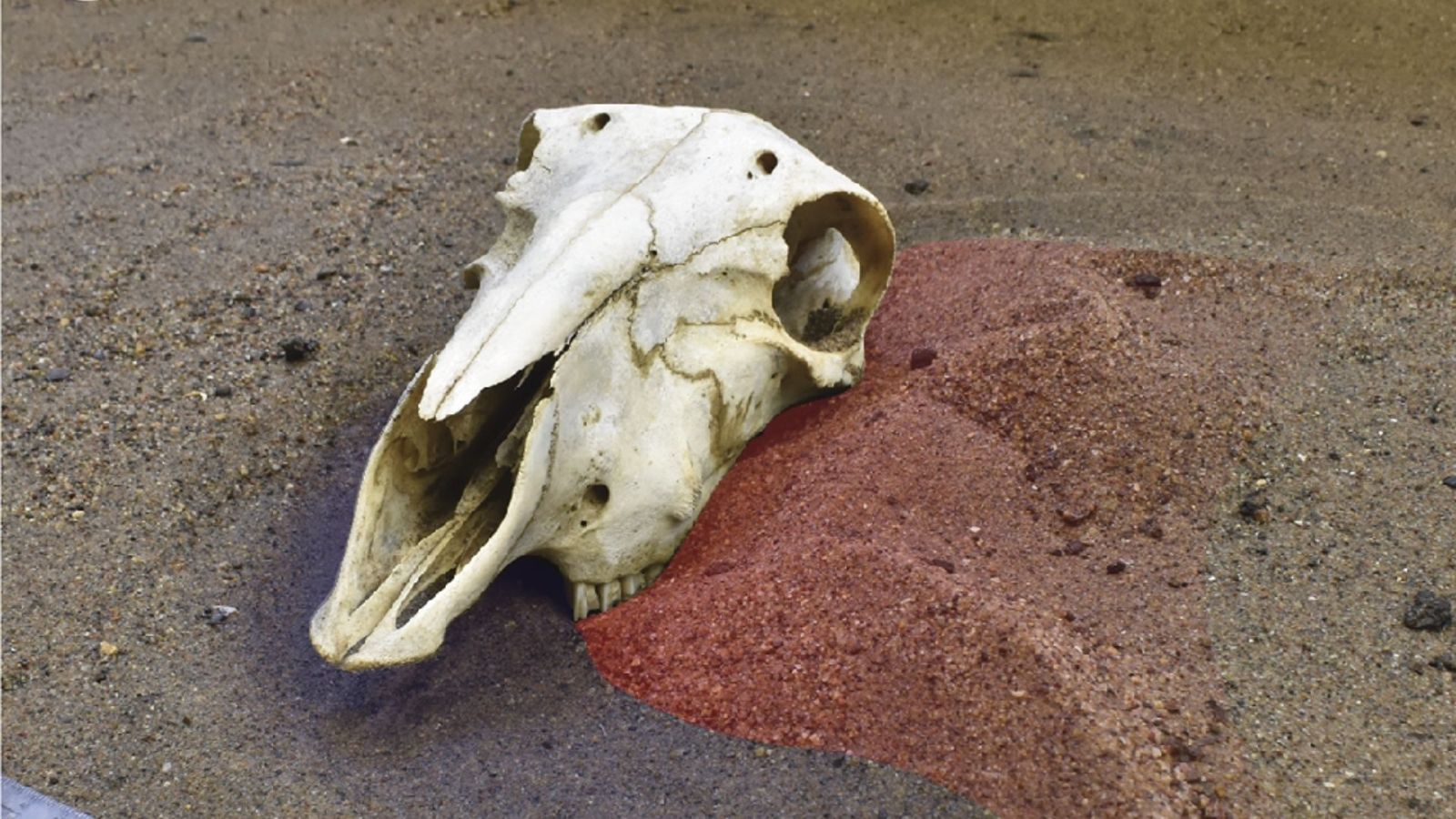 Ils inondent leur laboratoire : l’expérience étrange qui révèle où meurent vraiment les dinosaures
