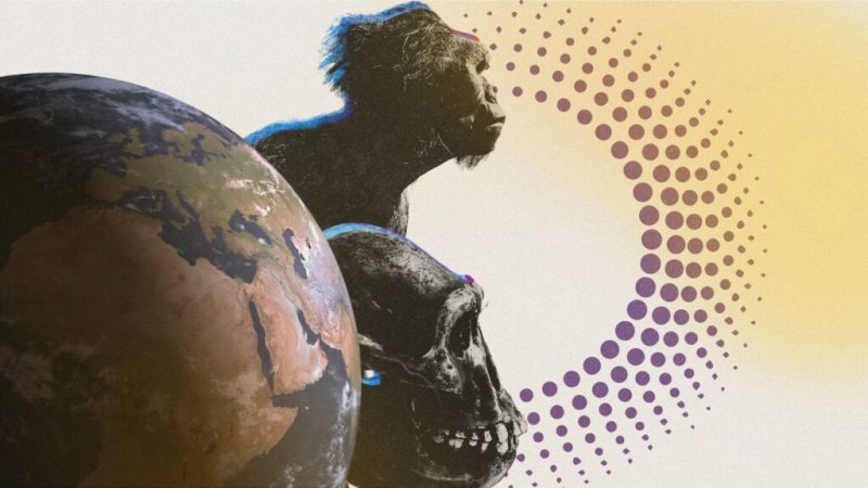 Une découverte vieille de 773 000 ans éclaire l&rsquo;origine de l&rsquo;humain