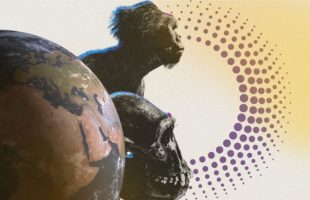 Source : Montage Numerama