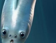 Reconstitution artistique d'un myllokunmingiidé, le plus ancien vertébré connu, doté de quatre yeux lui permettant de voir et de se repérer dans son environnement primitif. // Source : Xiangtong Lei et Sihang Zhang