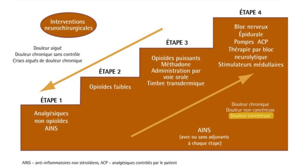 Adaptation de l'&eacute;chelle de la douleur de 1986 pouvant &ecirc;tre utilis&eacute;e pour des douleurs non-canc&eacute;reuses et canc&eacute;reuses // Source : L&rsquo;&eacute;chelle analg&eacute;sique de l&rsquo;OMS convient-elle toujours? Vingt-quatre ann&eacute;es d&rsquo;exp&eacute;rience, Can Fam Physician, 2010