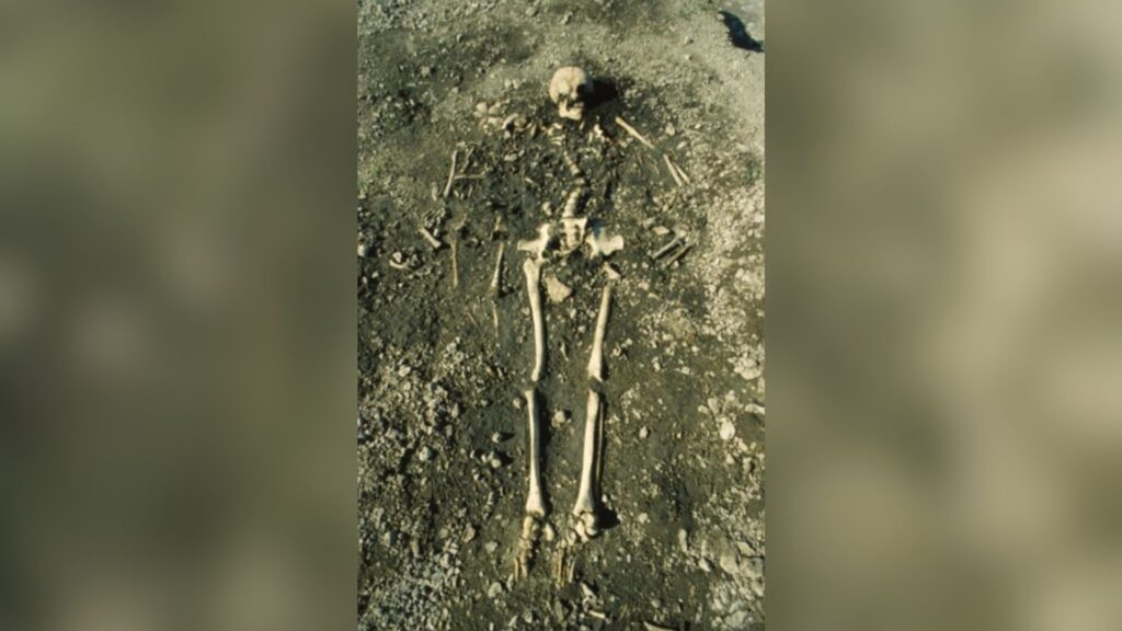 Les deux enfants qui &eacute;taient fr&egrave;res et s&oelig;urs &agrave; part enti&egrave;re et la femme qui &eacute;tait leur tante ou leur demi-s&oelig;ur. // Source : G&ouml;ran Burenhult