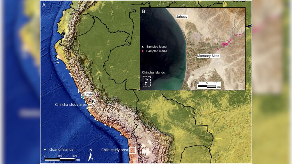 Carte des &icirc;les p&eacute;ruviennes de guano et les zones d'&eacute;tudes chinchas et Chile // Source : Plos One