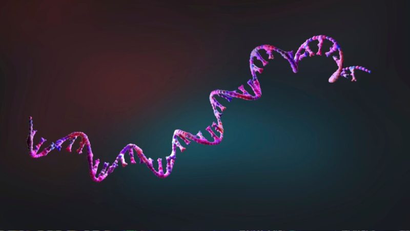 AlphaGenome de DeepMind : quel impact sur la recherche des mutations génétiques ?