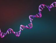 Source : Canva Source : Canva