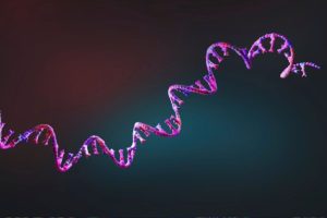 Source : Canva Source : Canva