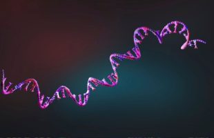 Source : Canva Source : Canva