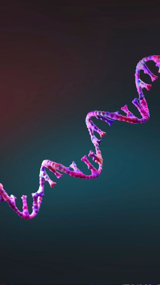 Source : Canva Source : Canva