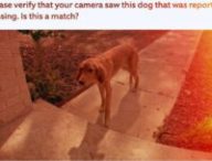 Amazon Ring Search Party. // Source : Amazon