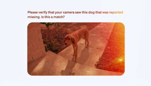 Amazon Ring Search Party. // Source : Amazon Amazon Ring Search Party. // Source : Amazon