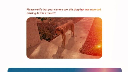 Amazon Ring Search Party. // Source : Amazon