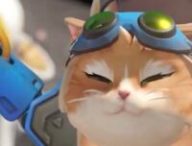 Jetpack Cat dans Overwatch // Source : Blizzard Entertainment
