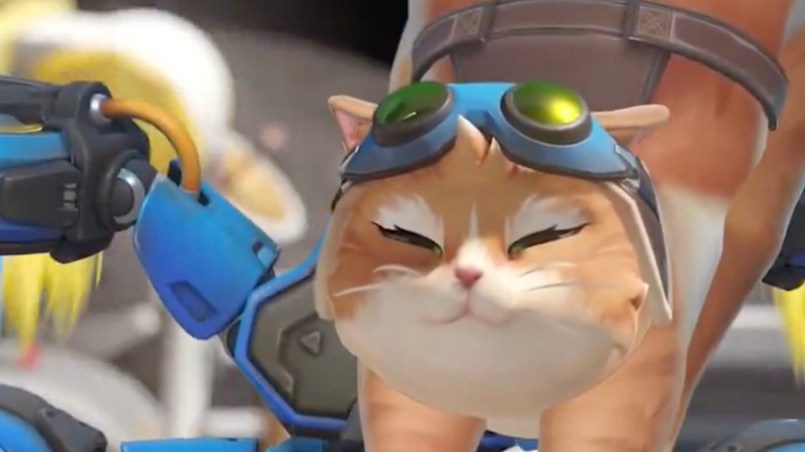 Le chat mignon (et détesté) d’Overwatch va subir des changements radicaux