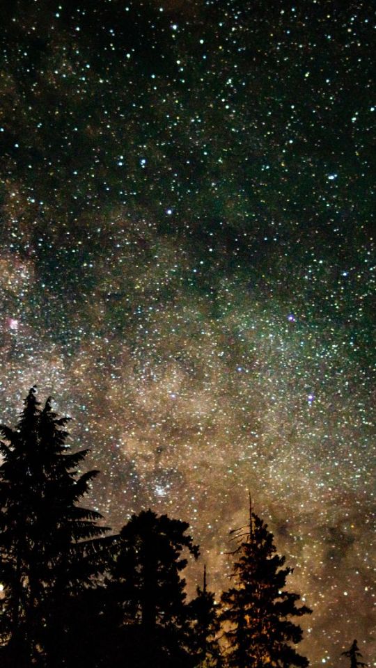 Ciel étoilé. // Source : Envato Ciel étoilé. // Source : Envato