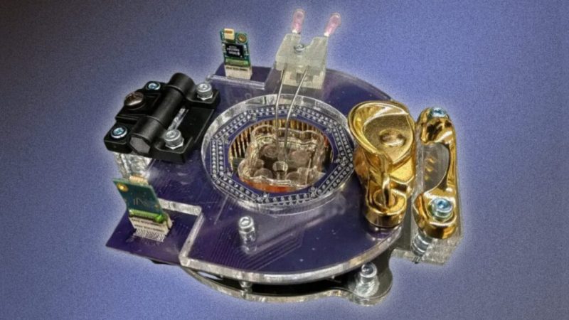 Pour gagner l’AI Grand Prix, une équipe mise sur un cerveau de souris plutôt que sur du code