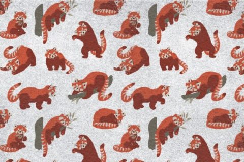 « Beaucoup refusent catégoriquement l'IA », face aux frondeurs ce navigateur déploie une solution inédite // Source : Montage Numerama