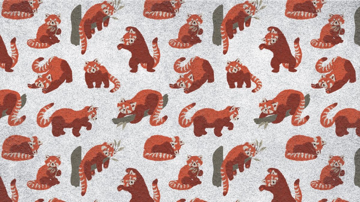 « Beaucoup refusent catégoriquement l'IA », face aux frondeurs ce navigateur déploie une solution inédite // Source : Montage Numerama