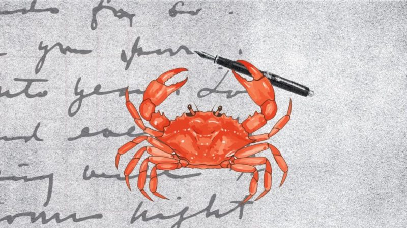 « Un agent IA a publié un article à charge contre moi », un développeur raconte la folle histoire qui a failli nuire à sa réputation