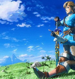 Une anniversaire Zelda // Source : Nintendo