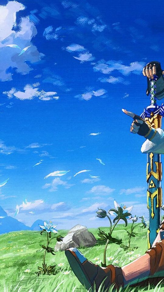 Une anniversaire Zelda // Source : Nintendo