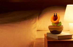 Fleur cancan Nintendo // Source : Nintendo