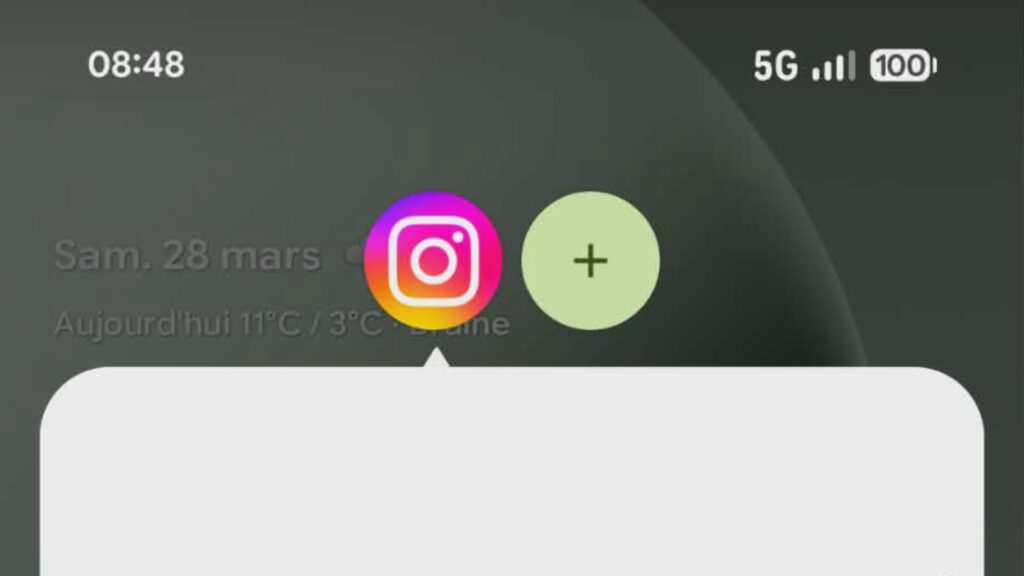 Instagram dans une bulle.