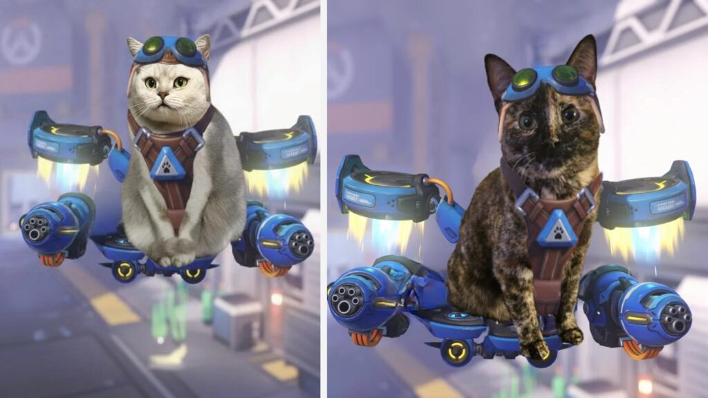 Diff&eacute;rentes cosplay de Jetpack Cat // Source : morgvlblade - Darkwoodlol - Reddit