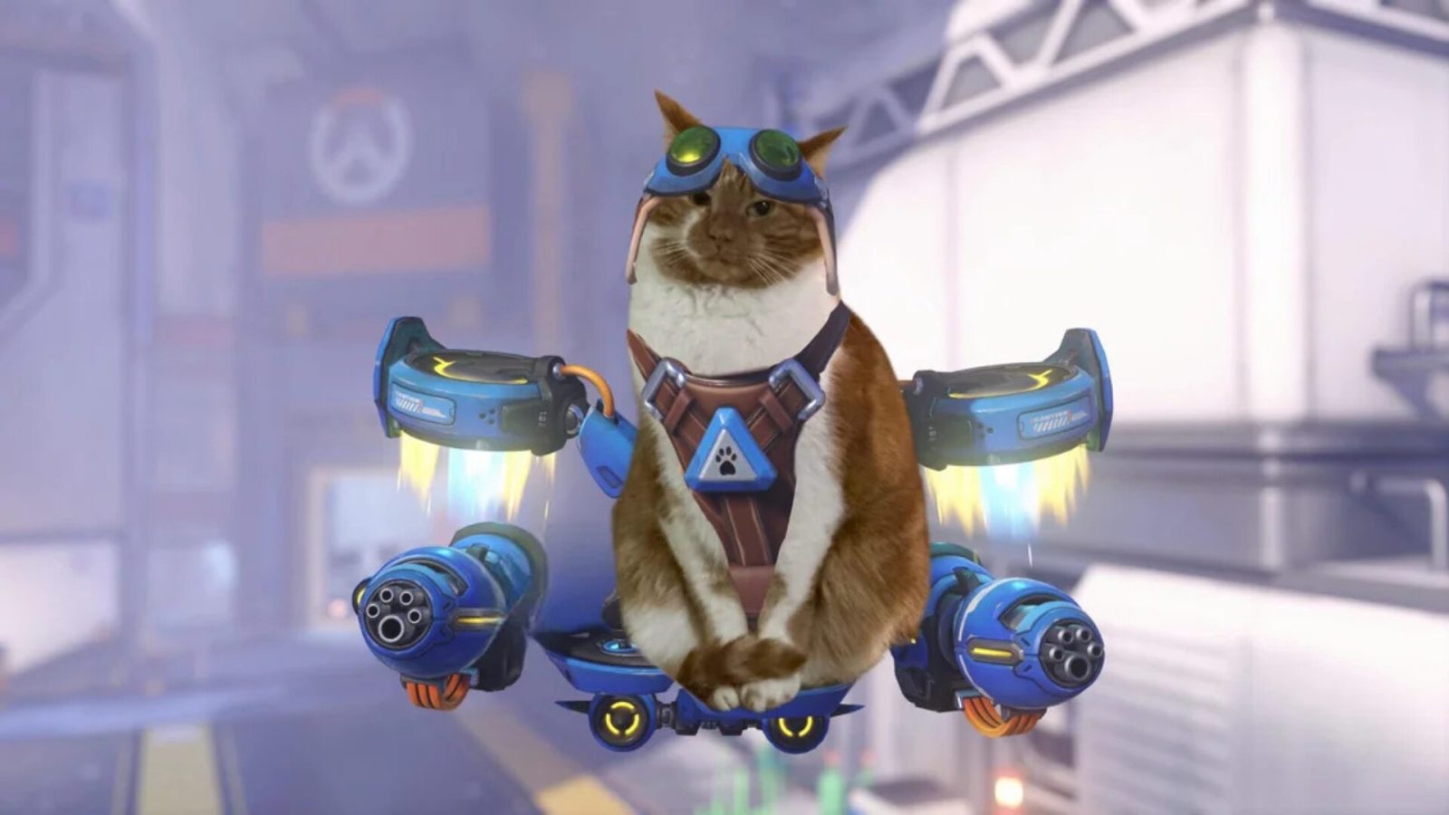 Overwatch : les joueurs transforment leurs chats en Jetpack Cat, le nouveau héros
