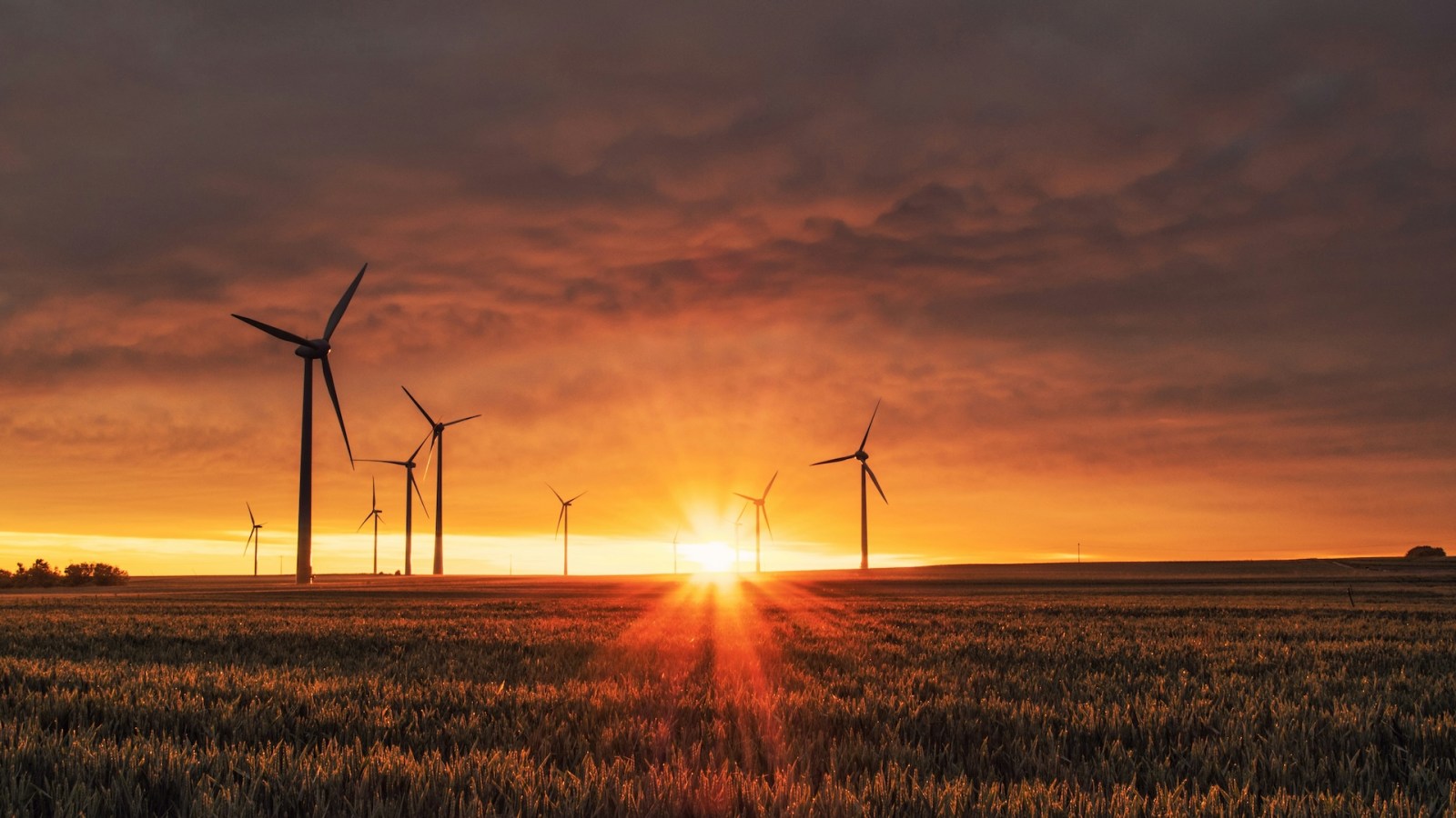 Énergie : comment passer au vert sans payer plus cher en 2026 [Sponso]