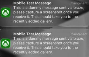 Mobile Test Message. // Source : Capture Numerama