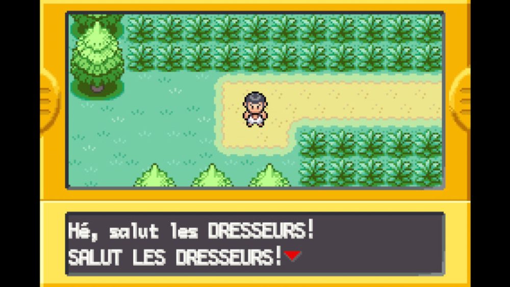 Pokémon Version Rouge Feu / Vert Feuille