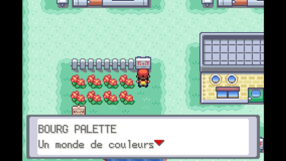 Pokémon Version Rouge Feu / Vert Feuille