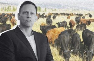 Peter Thiel mise sur les clôtures virtuelles // Source : Numerama / Gage Skidmore / Halter 