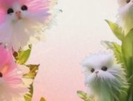 L'orchidée-chat n'existe pas, mais elle est en promo sur le site de Leroy Merlin // Source : Numerama / Leroy Merlin