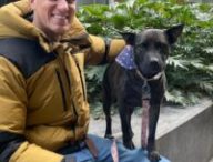 Paul Conyngham s'est aidé de ChatGPT afin de concevoir un vaccin pour son chien. // Source : @Paul_conyngham sur X