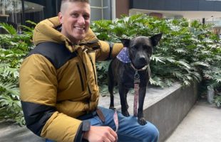 Paul Conyngham s'est aidé de ChatGPT afin de concevoir un vaccin pour son chien. // Source : @Paul_conyngham sur X Paul Conyngham s'est aidé de ChatGPT afin de concevoir un vaccin pour son chien. // Source : @Paul_conyngham sur X