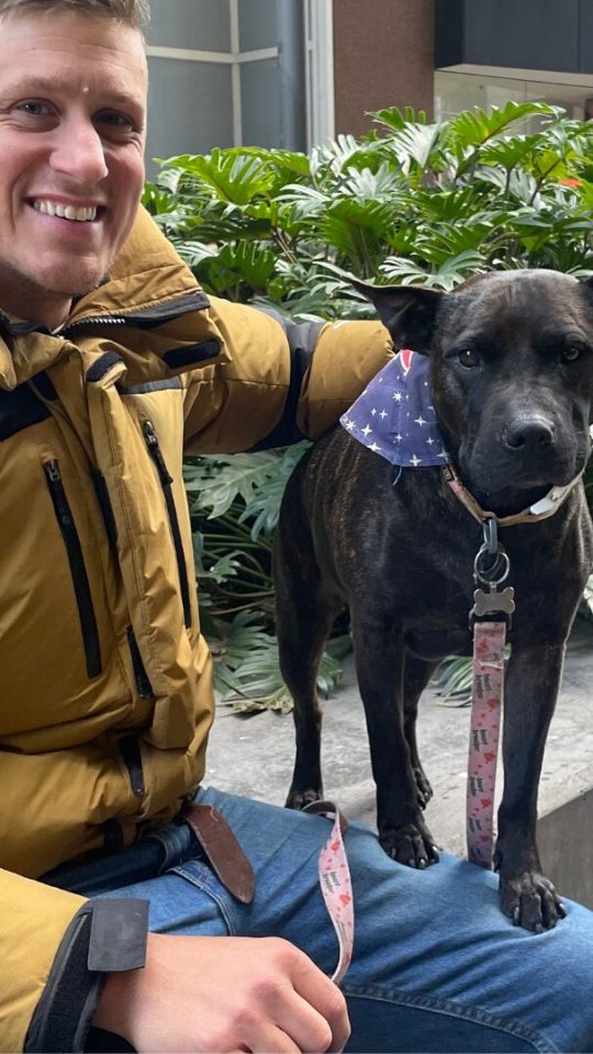 Paul Conyngham s'est aidé de ChatGPT afin de concevoir un vaccin pour son chien. // Source : @Paul_conyngham sur X