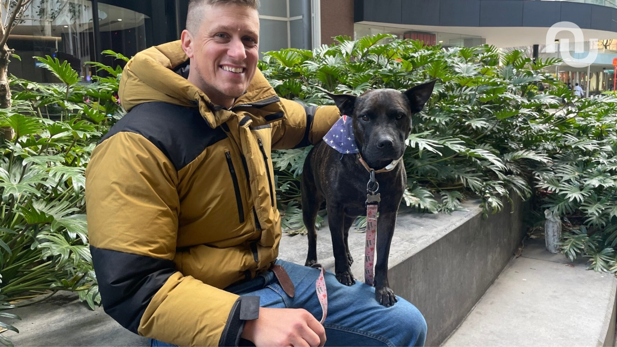 Paul Conyngham s'est aidé de ChatGPT afin de concevoir un vaccin pour son chien. // Source : @Paul_conyngham sur X Paul Conyngham s'est aidé de ChatGPT afin de concevoir un vaccin pour son chien. // Source : @Paul_conyngham sur X