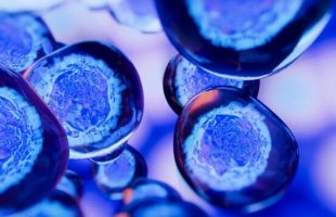 Source : Adobe Stock