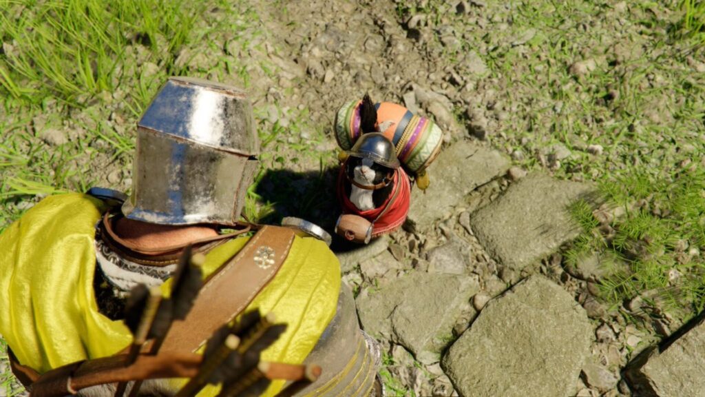 Il est possible de v&ecirc;tir son f&eacute;lin d'accessoires.  // Source : @AdityaPlayz7 sur X