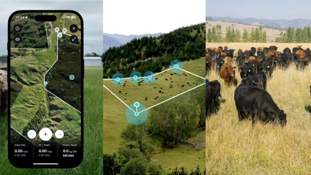 Le troupeau est g&eacute;r&eacute; via l'app. // Source : Halter