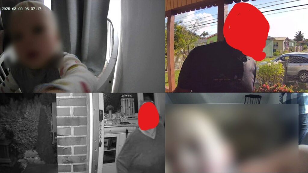 Capture d'&eacute;cran de cam&eacute;ras vuln&eacute;rables // Source : Sammy Azdoufal