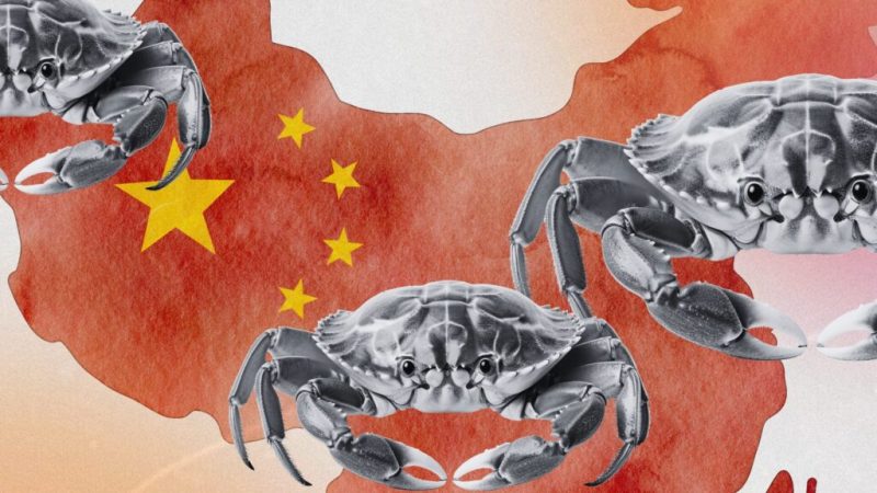 La Chine serre la vis face à la OpenClaw Mania