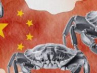 La Chine serre la vis face à la OpenClaw Mania // Source : Montage Numerama