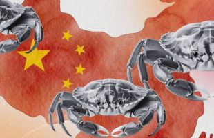 La Chine serre la vis face à la OpenClaw Mania // Source : Montage Numerama