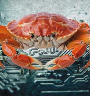 Comment Nvidia compte sécuriser les agents OpenClaw ? // Source : Montage Numerama Comment Nvidia compte sécuriser les agents OpenClaw ? // Source : Montage Numerama