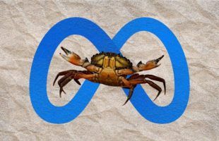 Meta agent fuite interne // Source : montage Numerama