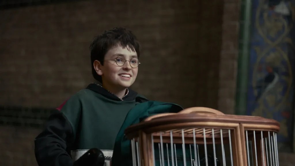 Le nouveau Harry Potter // Source : HBO