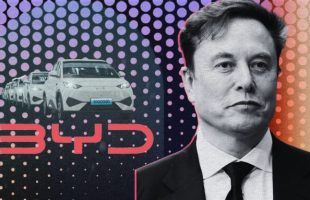 Elon Musk et BYD // Source : Montage Numerama Elon Musk et BYD // Source : Montage Numerama